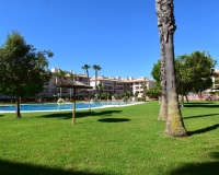 Revente - Apartment - Orihuela Costa - Playa Flamenca