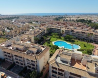 Revente - Apartment - Orihuela Costa - Playa Flamenca