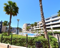 Revente - Apartment - Orihuela Costa - Playa Flamenca