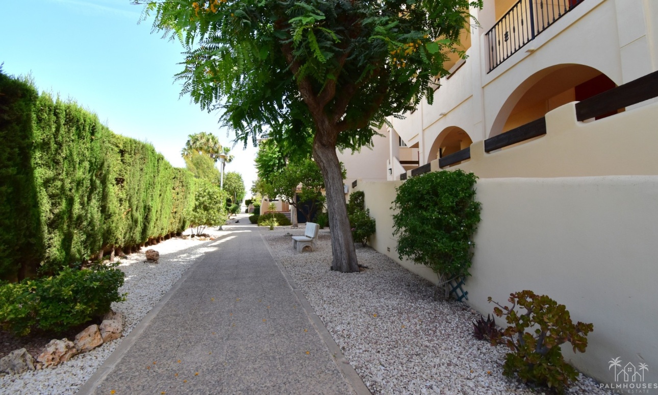 Revente - Apartment - Orihuela Costa - Playa Flamenca