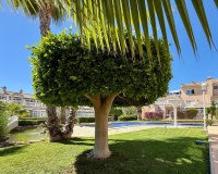 Revente - Apartment - Orihuela Costa - Playa Flamenca