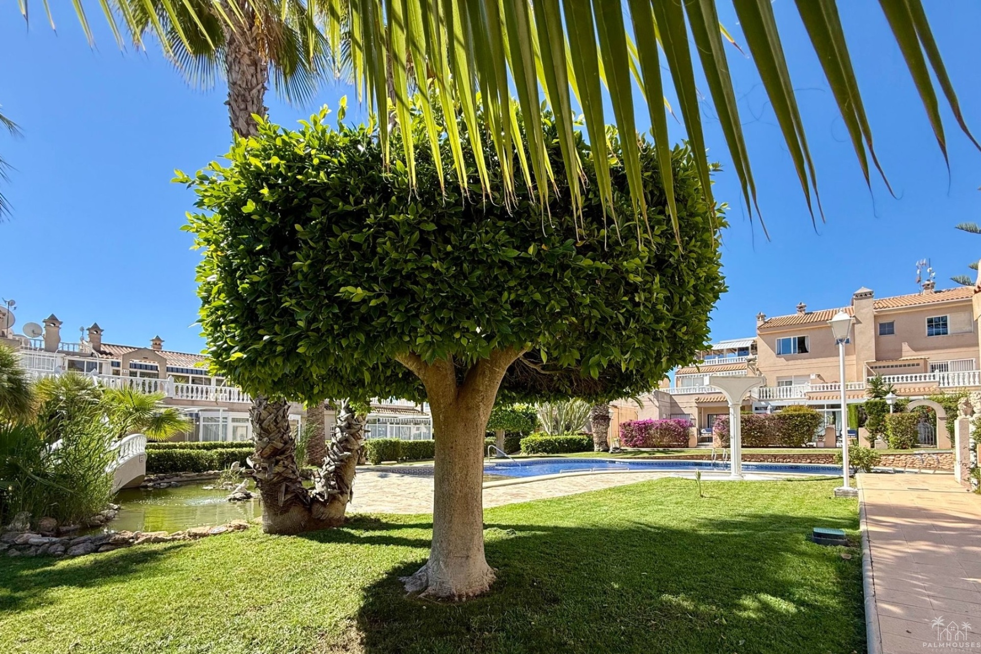 Revente - Apartment - Orihuela Costa - Playa Flamenca