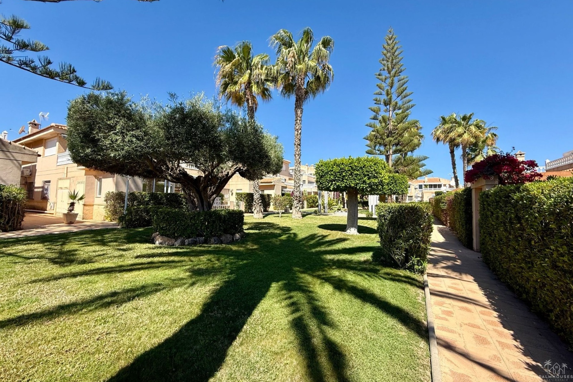 Revente - Apartment - Orihuela Costa - Playa Flamenca