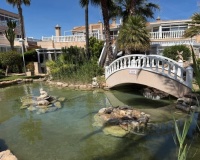 Revente - Apartment - Orihuela Costa - Playa Flamenca