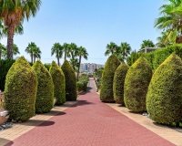 Revente - Apartment - Orihuela Costa - Playa Flamenca