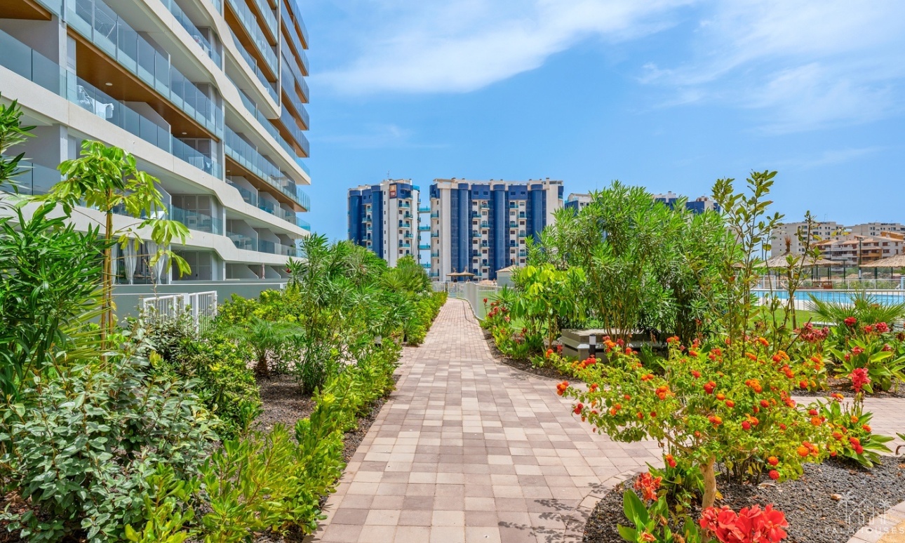 Revente - Apartment - Orihuela Costa - Punta Prima
