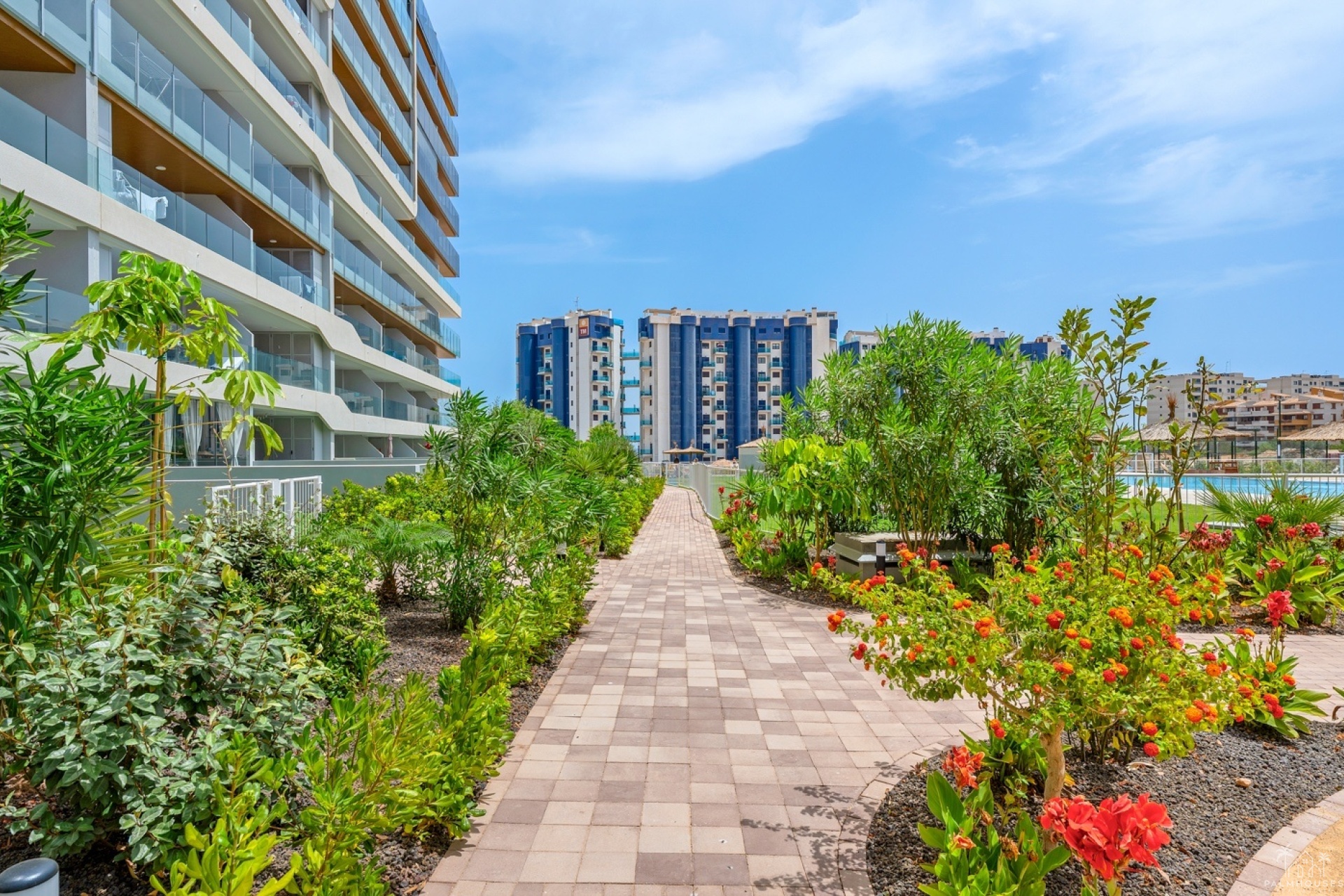Revente - Apartment - Orihuela Costa - Punta Prima