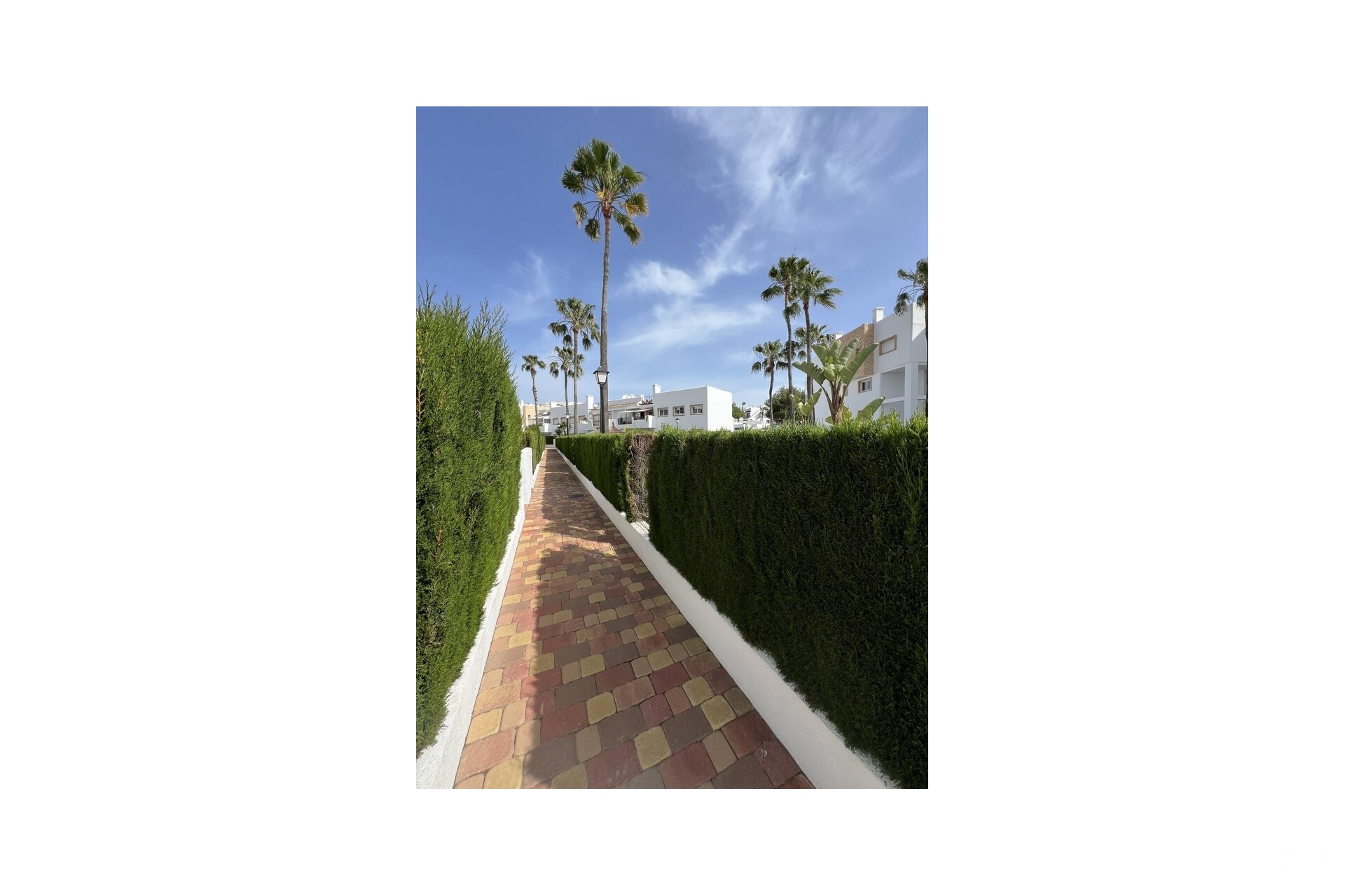 Revente - Apartment - Orihuela Costa - Villamartin