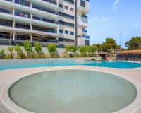 Revente - Apartment - Orihuela - Dehesa de Campoamor