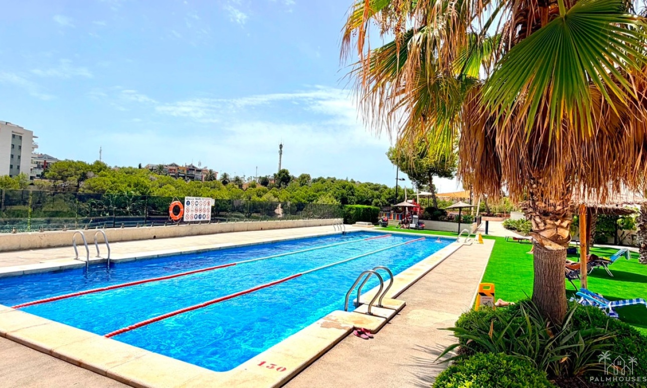 Revente - Apartment - Orihuela - La Zenia