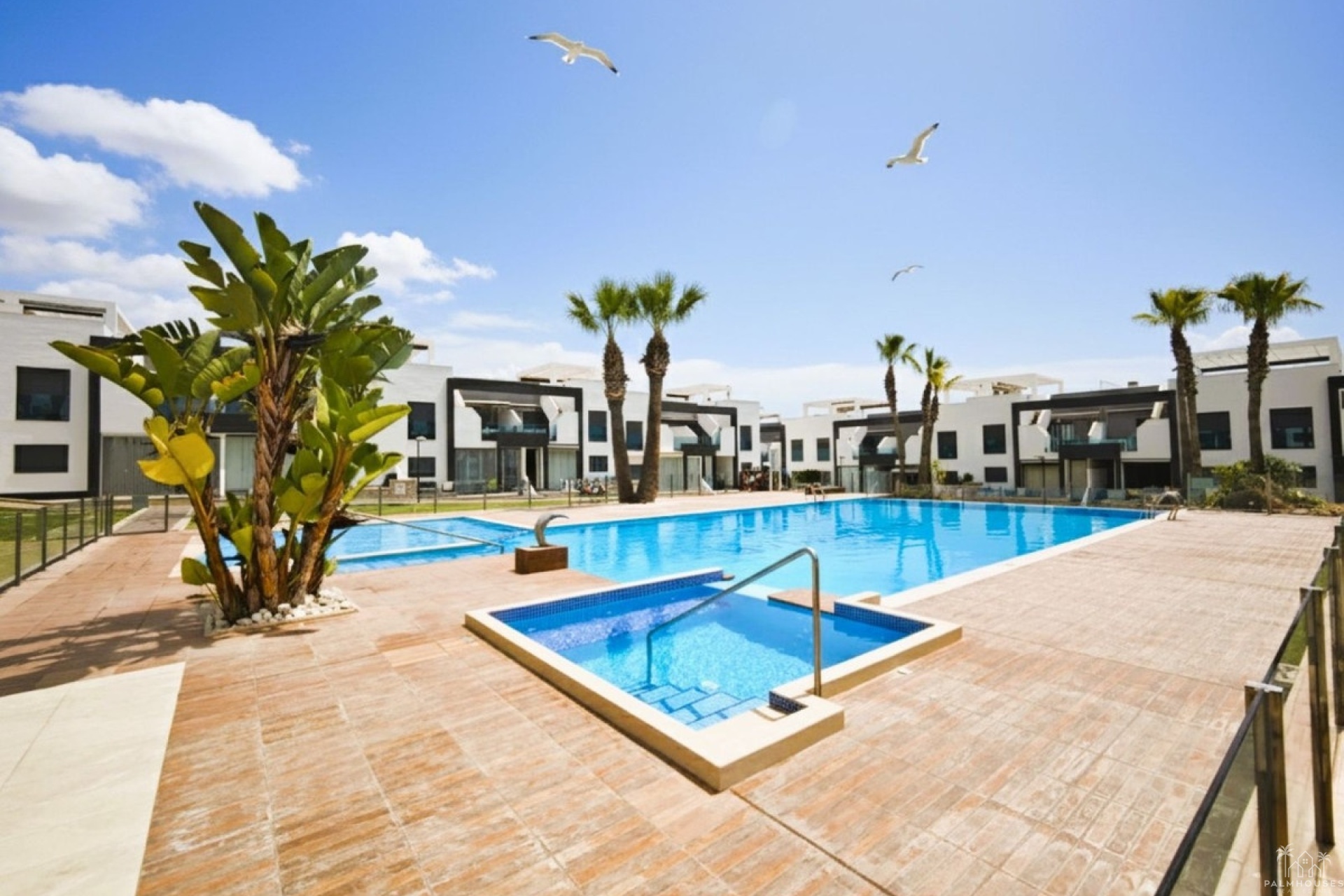 Revente - Apartment - Orihuela - La Zenia