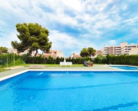 Revente - Apartment - Orihuela - La Zenia