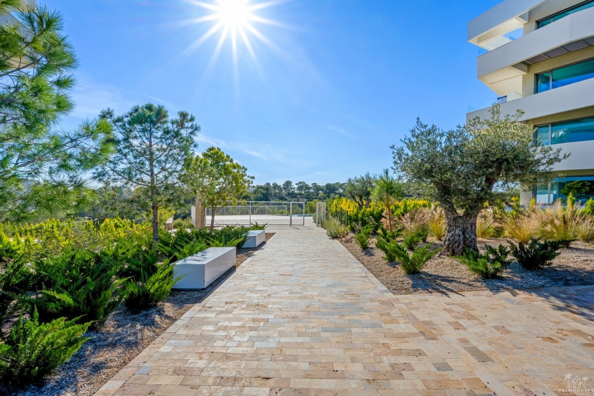 Revente - Apartment - Orihuela - Las Colinas
