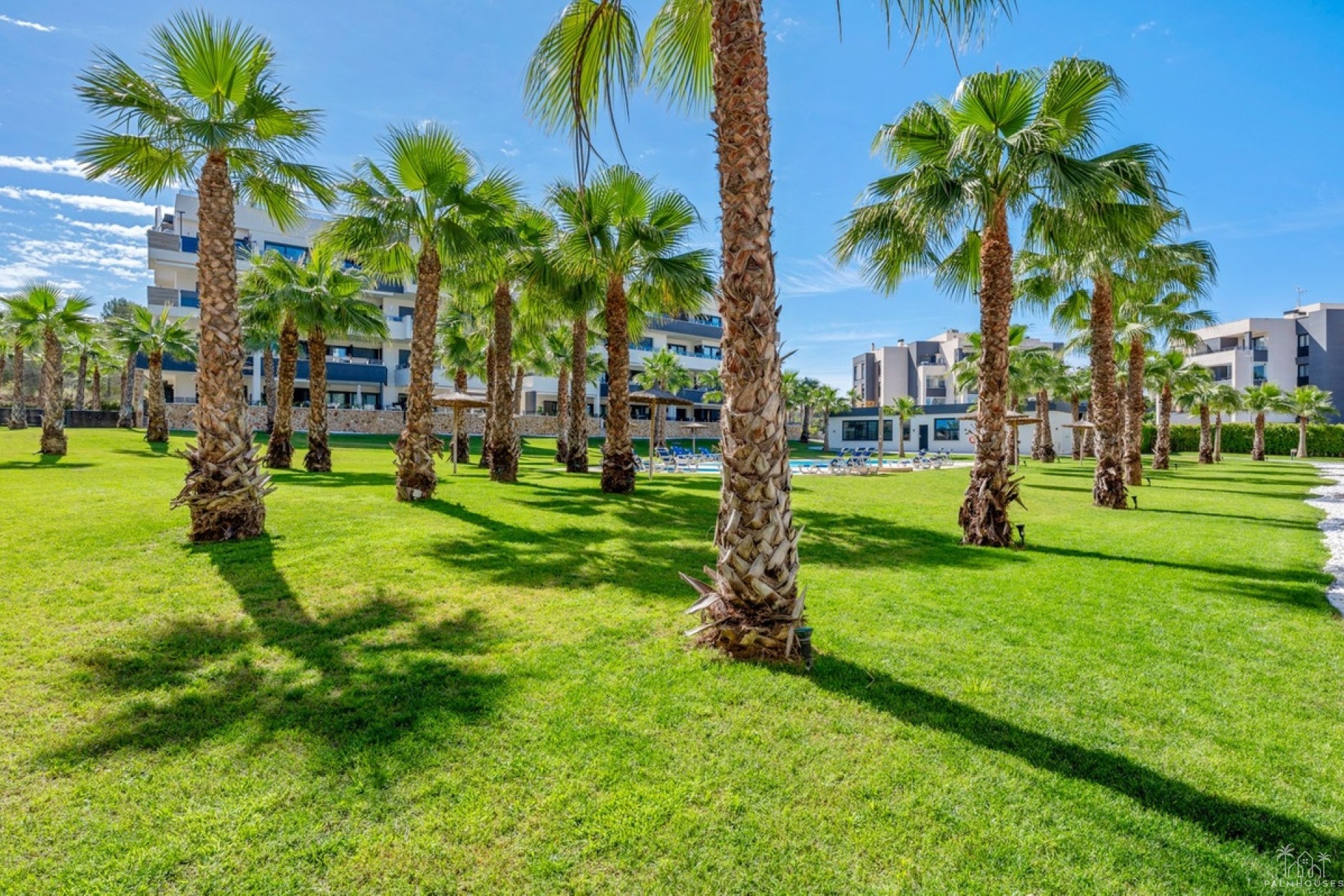 Revente - Apartment - Orihuela - Los Altos