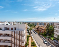Revente - Apartment - Orihuela - Los Dolses