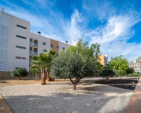 Revente - Apartment - Orihuela - Los Dolses