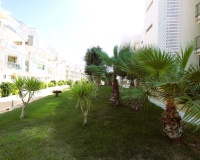 Revente - Apartment - Orihuela - Los Dolses