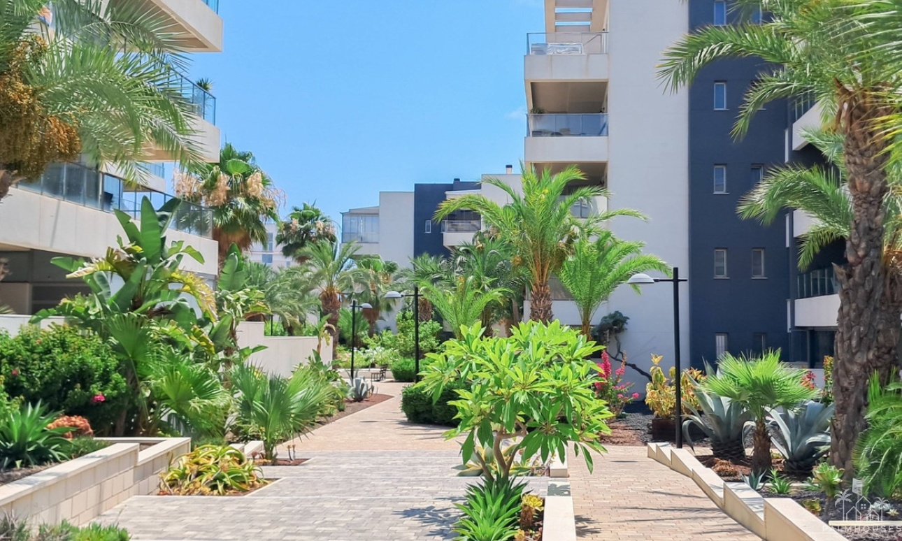 Revente - Apartment - Orihuela - Los Dolses