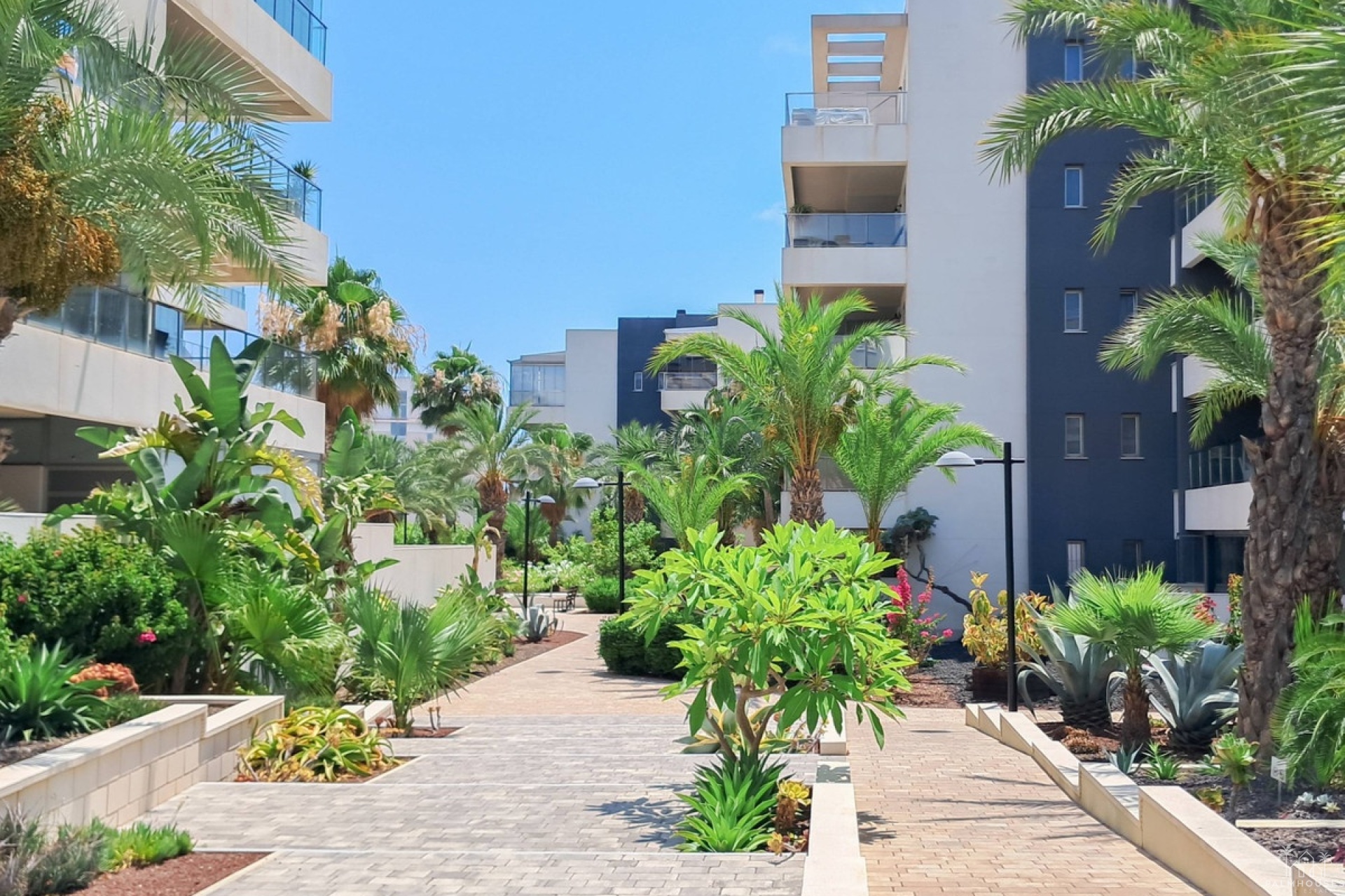 Revente - Apartment - Orihuela - Los Dolses