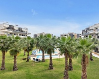 Revente - Apartment - Orihuela - Orihuela Centro
