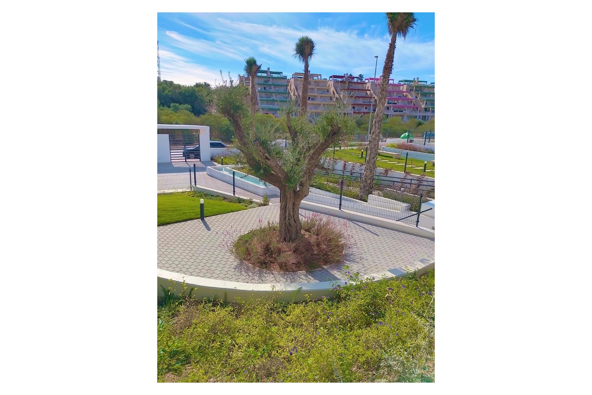 Revente - Apartment - Orihuela - Orihuela Costa