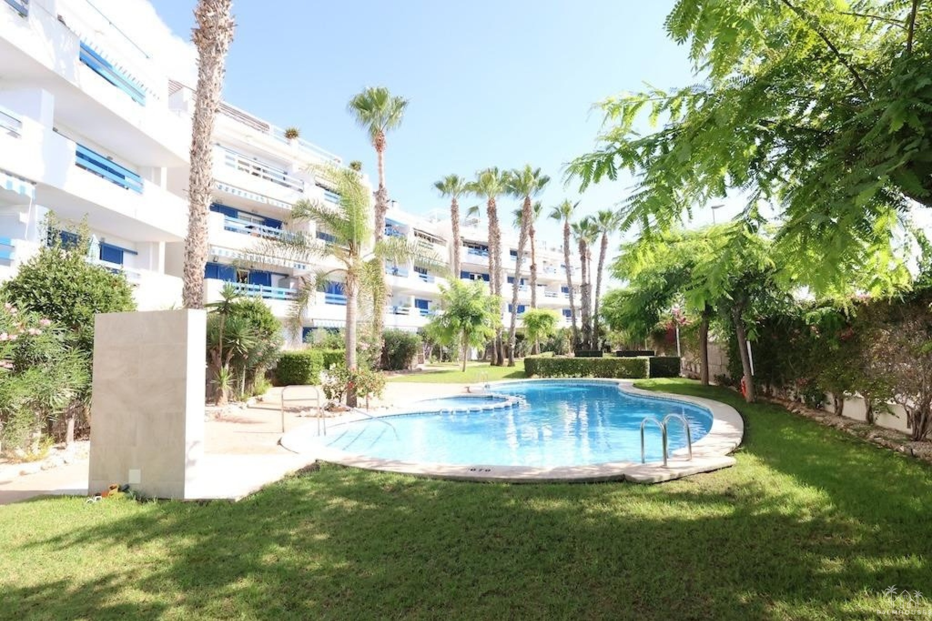 Revente - Apartment - Orihuela - Orihuela Costa
