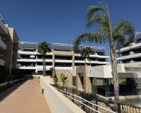 Revente - Apartment - Orihuela - Playa Flamenca