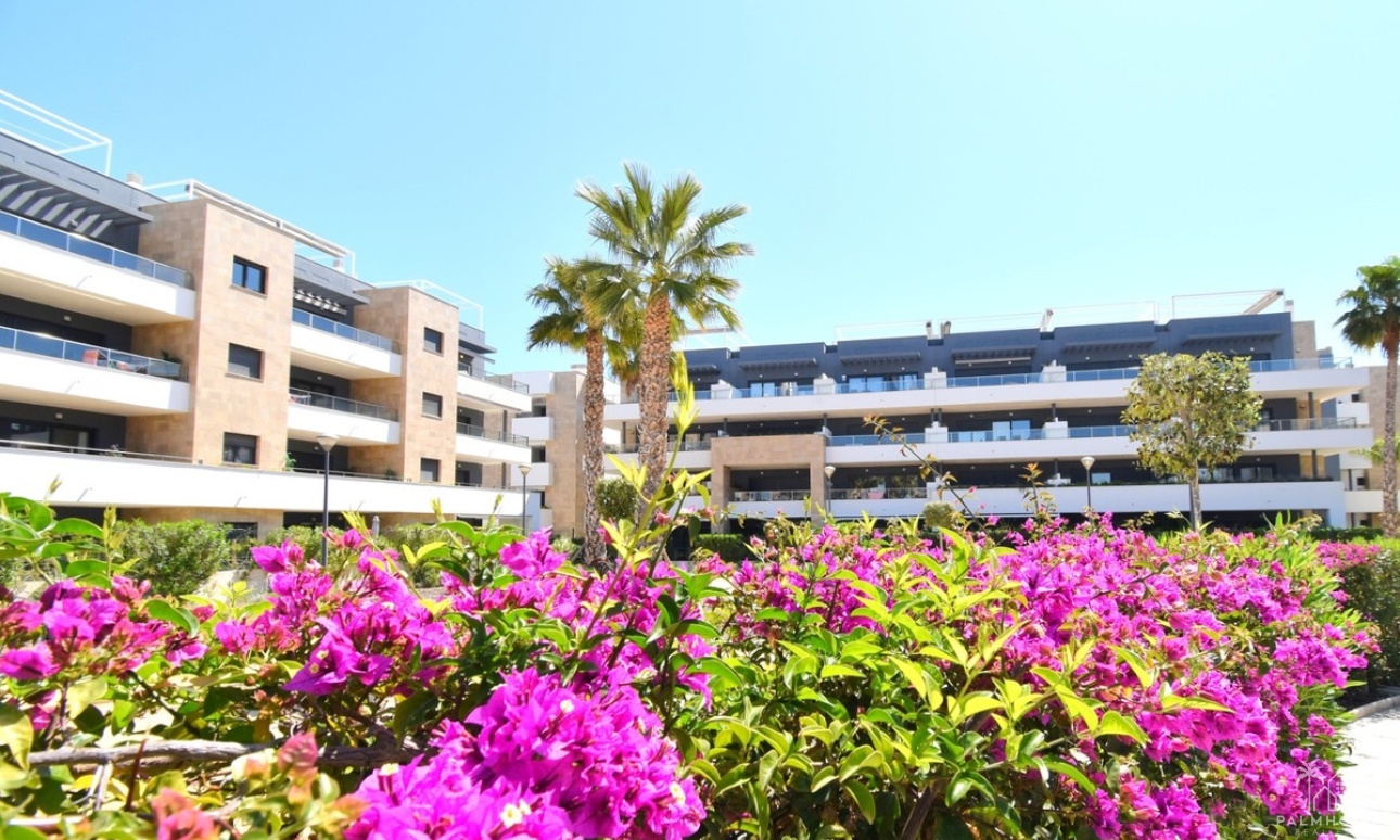 Revente - Apartment - Orihuela - Playa Flamenca