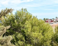 Revente - Apartment - Orihuela - Playa Flamenca