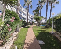 Revente - Apartment - Orihuela - Playa Flamenca