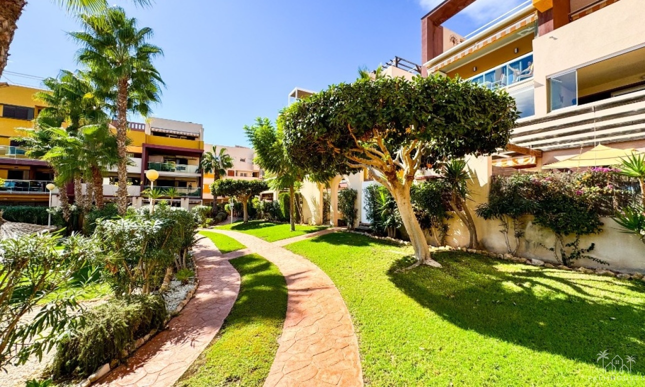 Revente - Apartment - Orihuela - Playa Flamenca