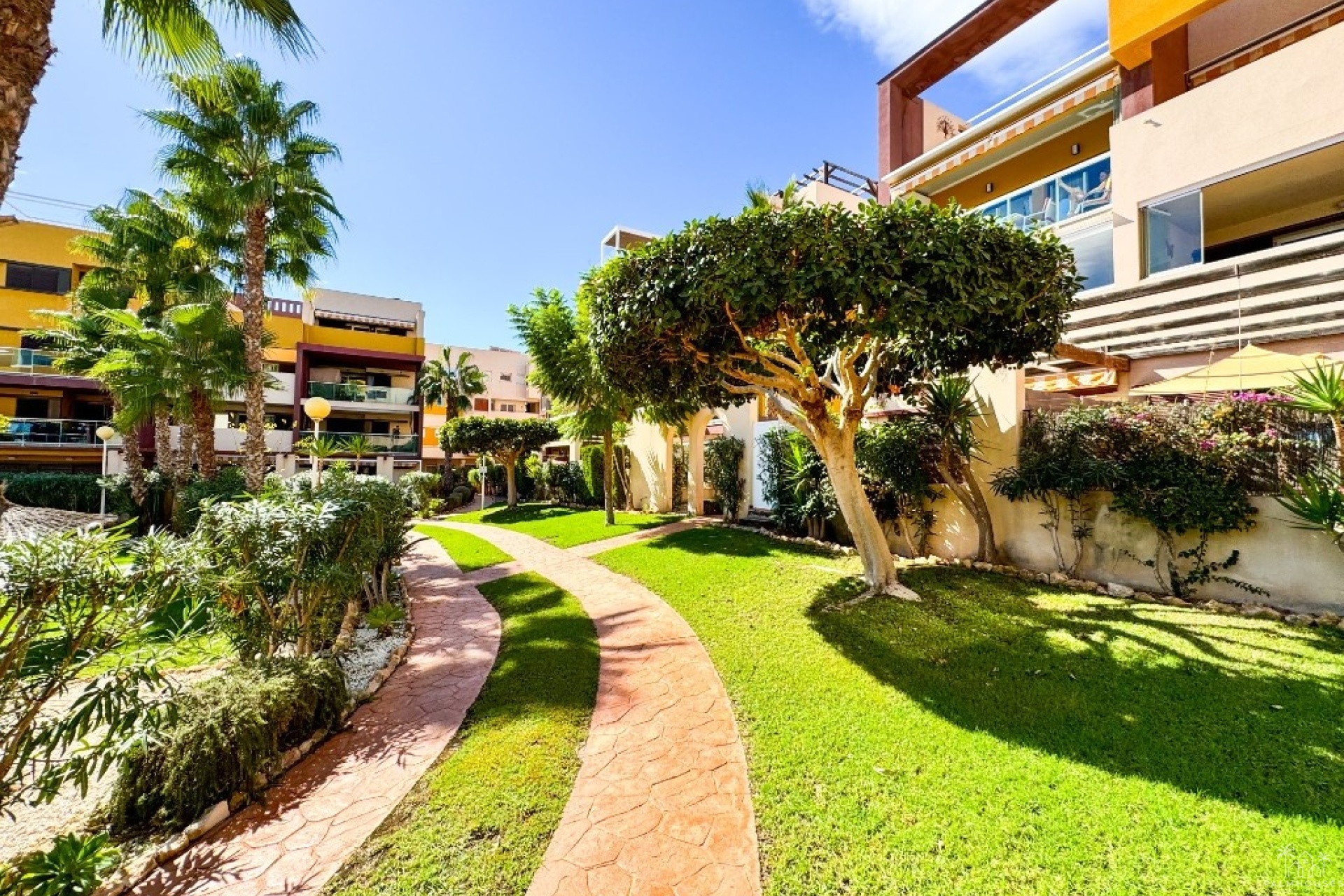 Revente - Apartment - Orihuela - Playa Flamenca