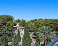 Revente - Apartment - Orihuela - Punta Prima