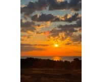 Revente - Apartment - Orihuela - Punta Prima
