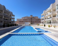 Revente - Apartment - Orihuela - Villamartin