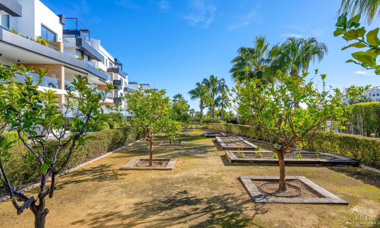 Revente - Apartment - Orihuela - Villamartin