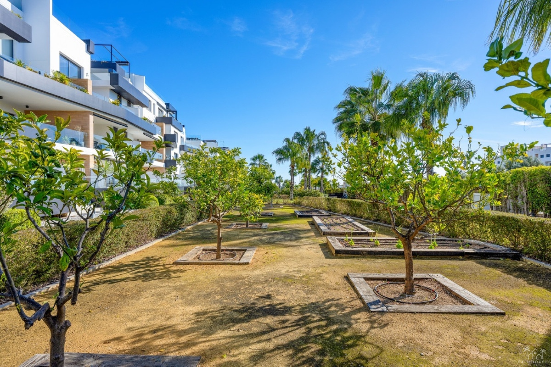 Revente - Apartment - Orihuela - Villamartin