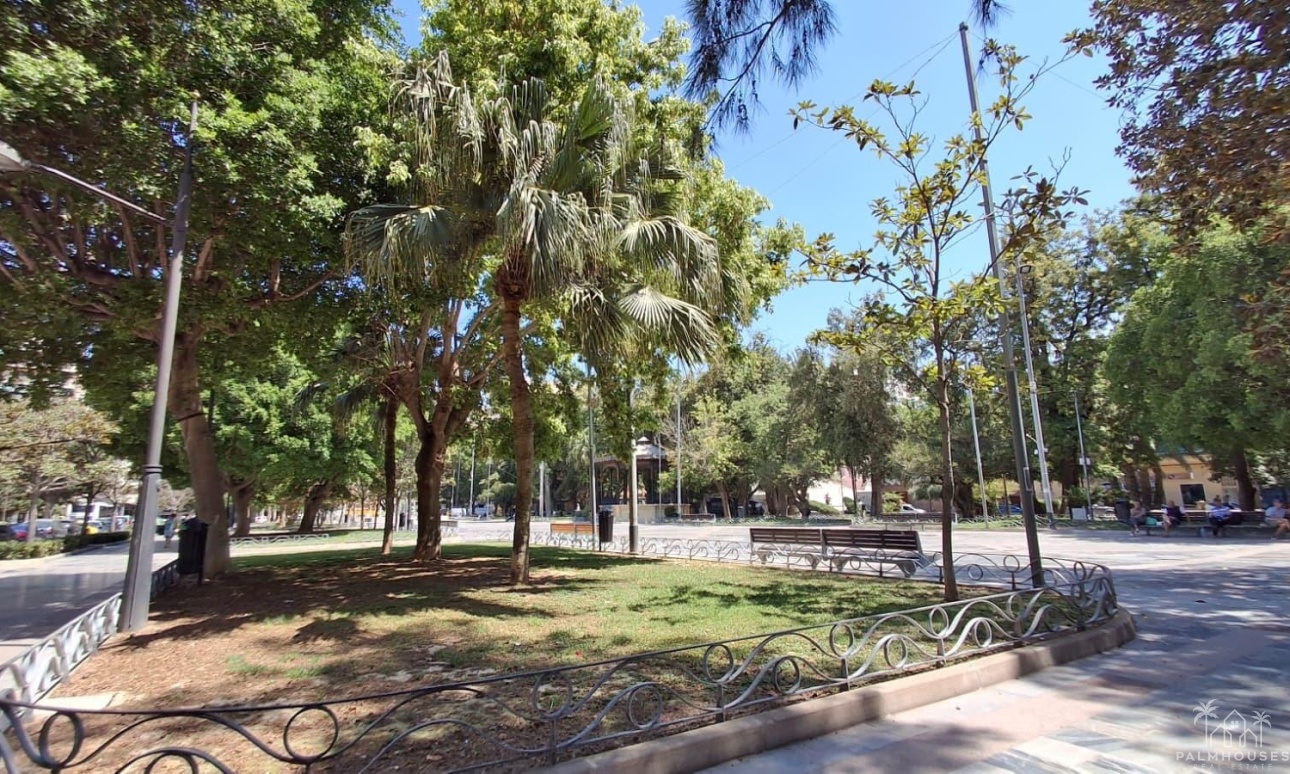 Revente - Apartment - Orihuela - Zona Centro