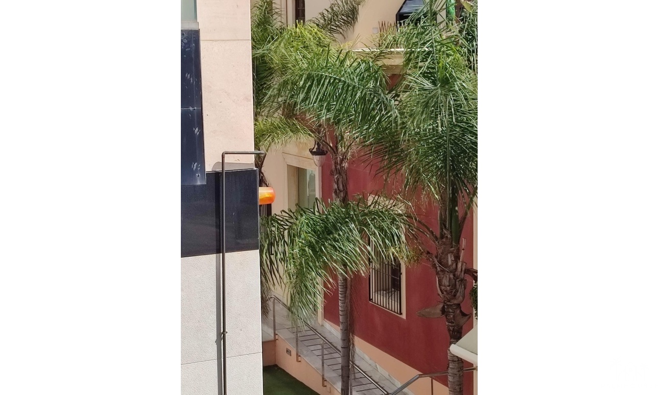Revente - Apartment - Orihuela - Zona Centro