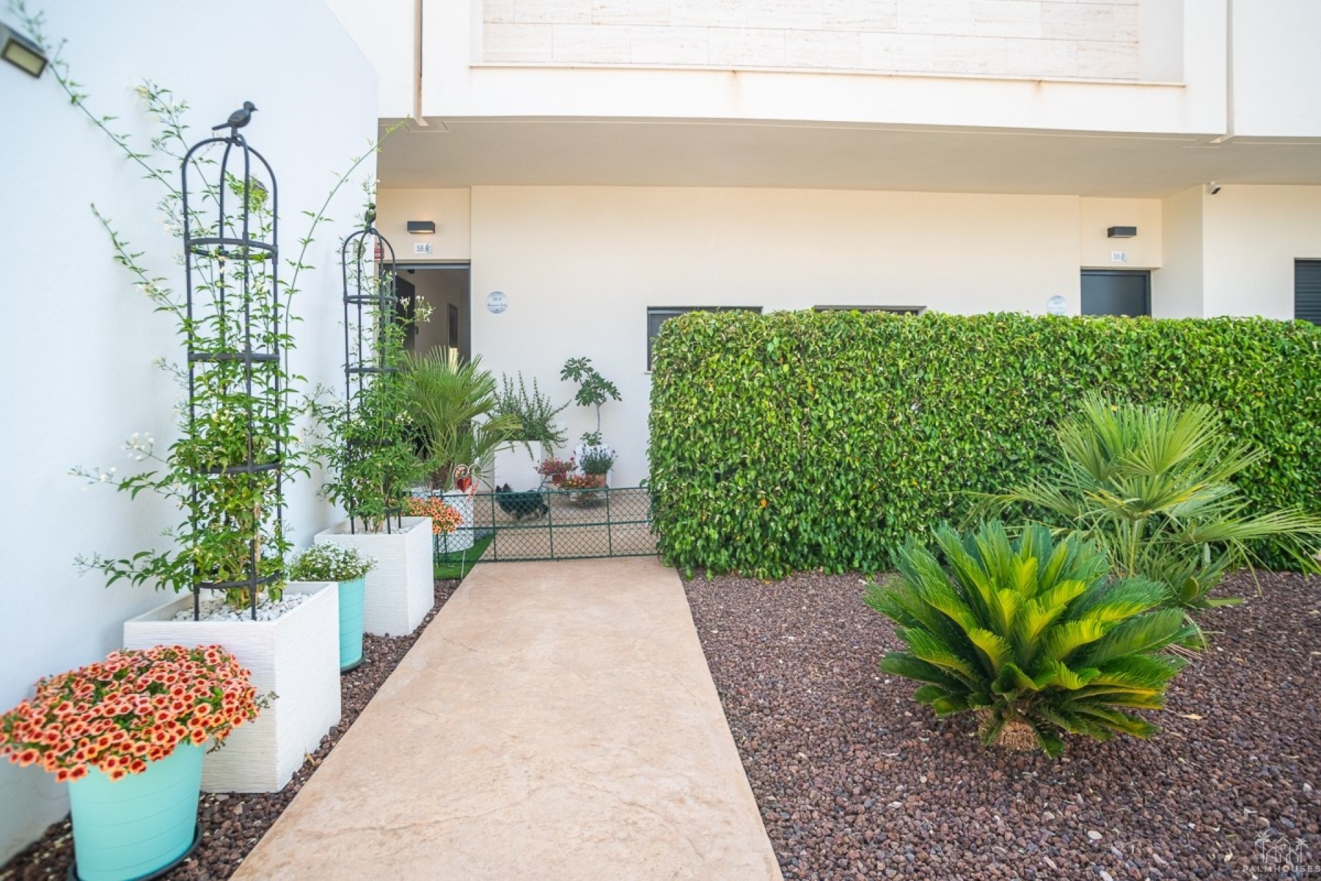 Revente - Apartment - Pilar de La Horadada - Costa Blanca