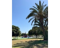 Revente - Apartment - Pilar de La Horadada - Torre de la Horadada