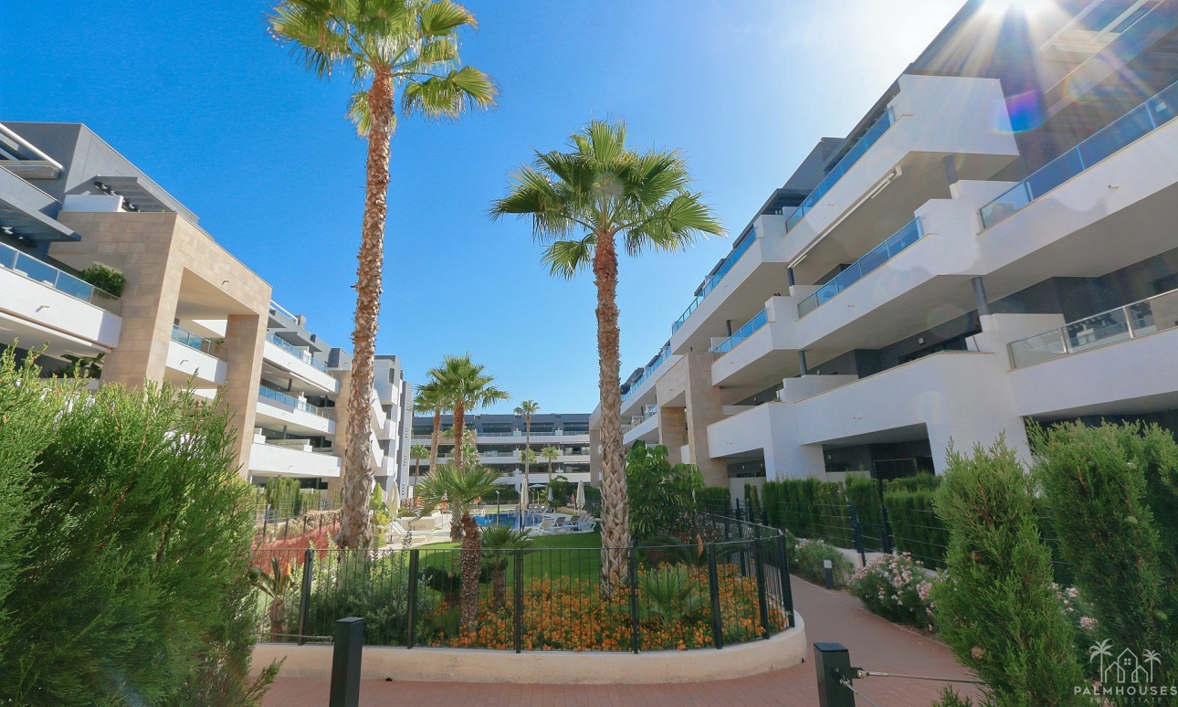 Revente - Apartment - Playa Flamenca - Costa Blanca