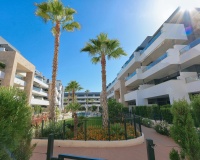 Revente - Apartment - Playa Flamenca - Costa Blanca