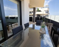 Revente - Apartment - Playa Flamenca - Costa Blanca