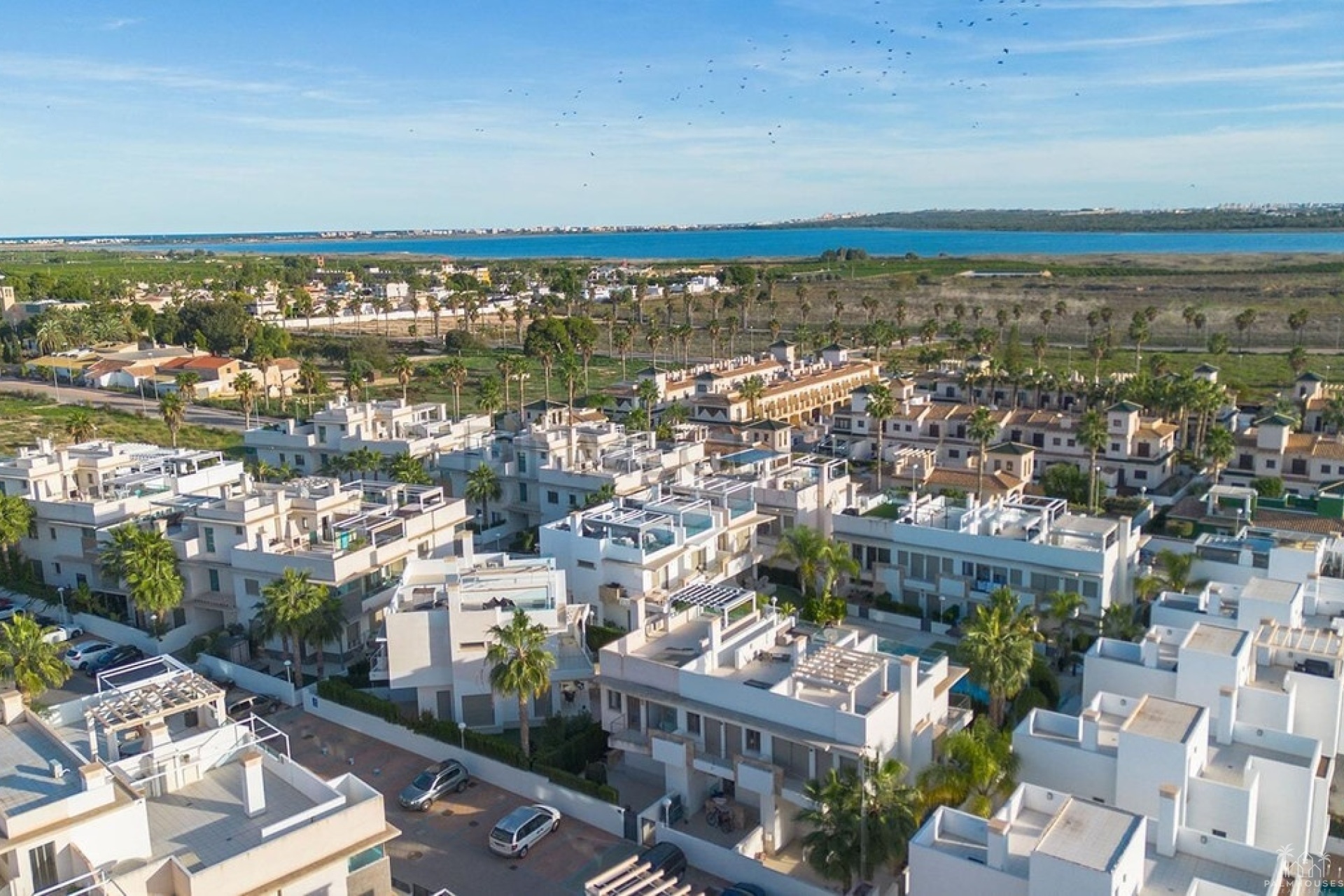 Revente - Apartment - Rojales - Ciudad Quesada