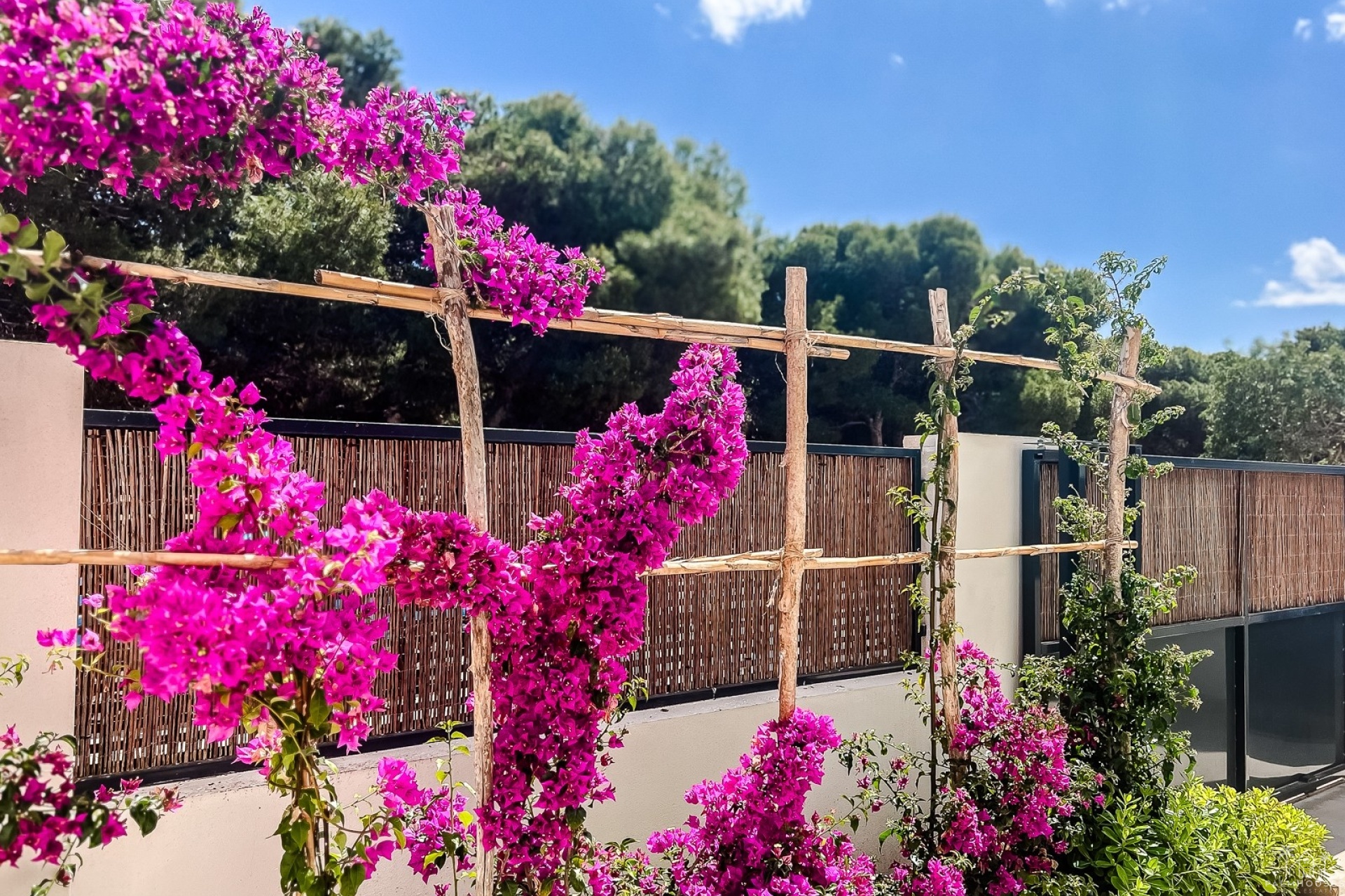 Revente - Apartment - San Javier - Santiago De La Ribera