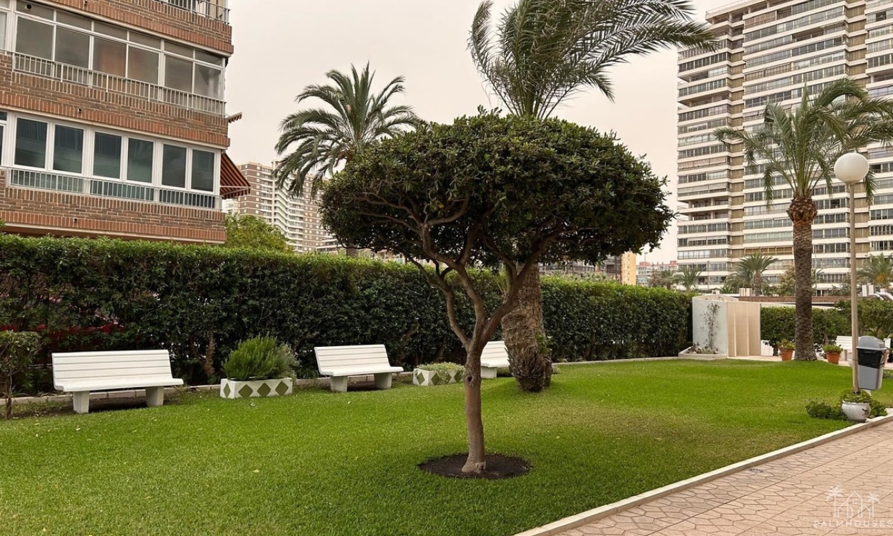 Revente - Apartment - San Juan de Alicante - Playa de San Juan