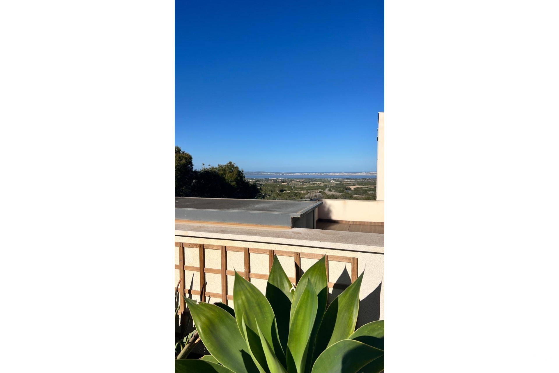 Revente - Apartment - San Miguel de Salinas - Bellavista
