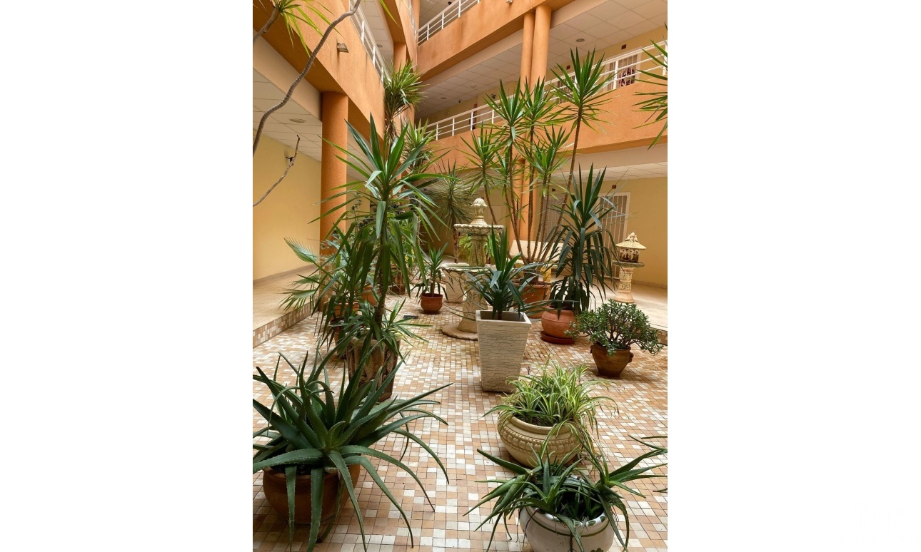 Revente - Apartment - San Miguel de Salinas - Pueblo 9