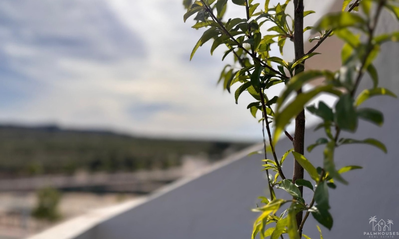 Revente - Apartment - San Miguel de Salinas - San Miguel de Salinas Centro